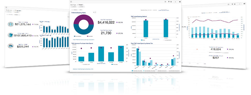 American Express Financial Dashboard Overview PNG Image