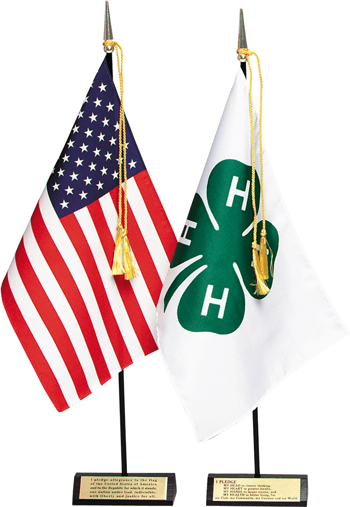 Americanand4 H Flags Display PNG Image