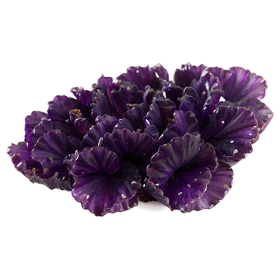 Amethyst Bloom Png 15 PNG Image