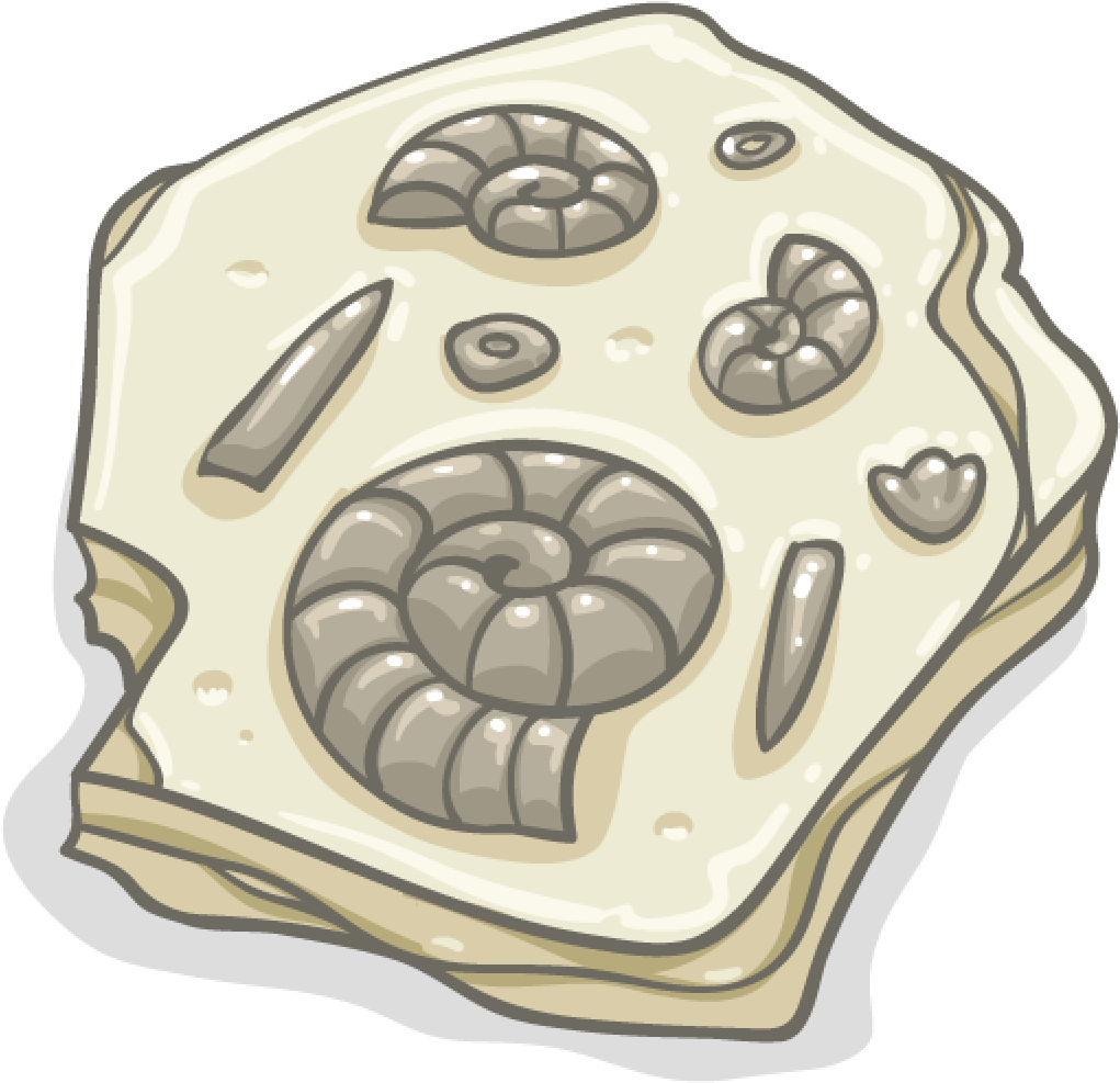 Ancient Ammonite Fossil Illustration PNG Image