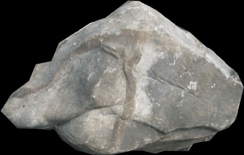 Ancient Fossilized Leaf Impression Rock PNG Image