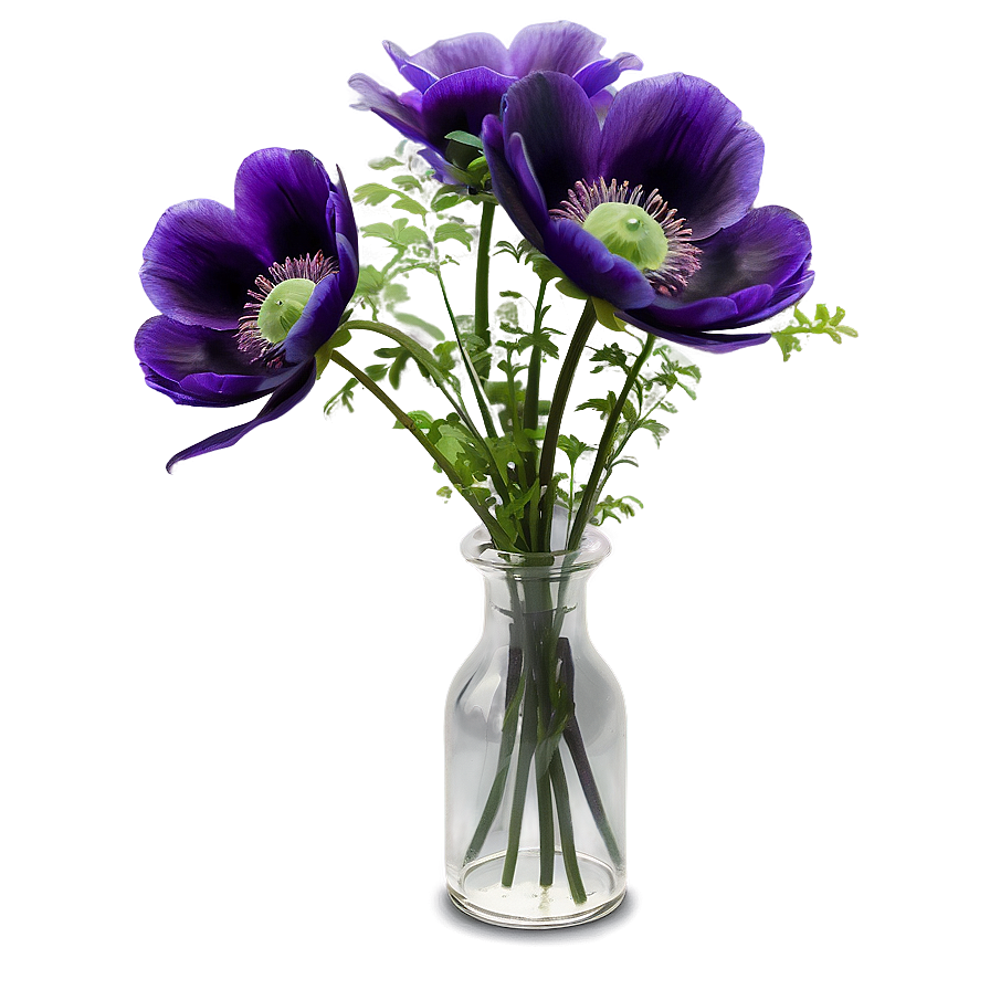 Anemone Bunch Png Cld PNG Image