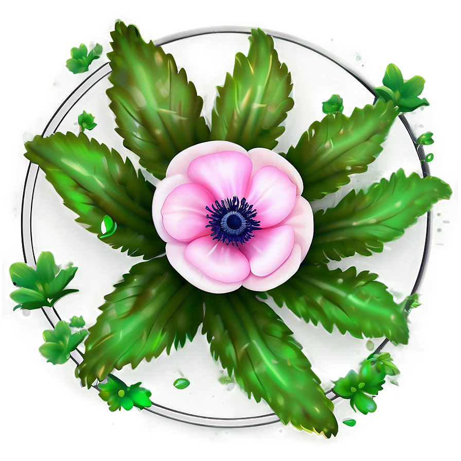 Anemone Flower Circle Png Tpw27 PNG Image