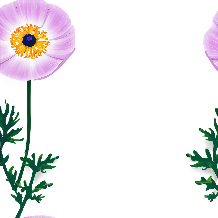 Anemone Vector Art Png 61 PNG Image