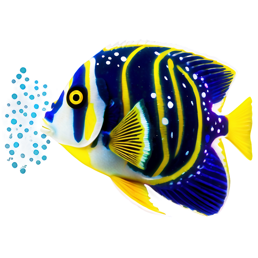 Angel Fish Transparent Png Oyd PNG Image