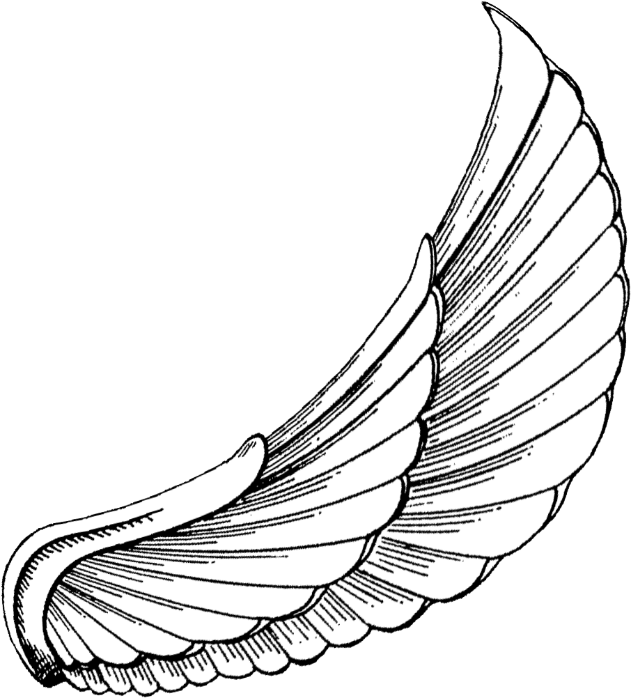 Angel Wing Tattoo Design PNG Image