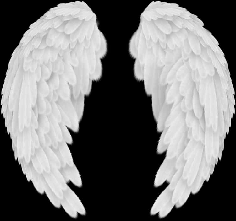 Angel Wings Black Background PNG Image