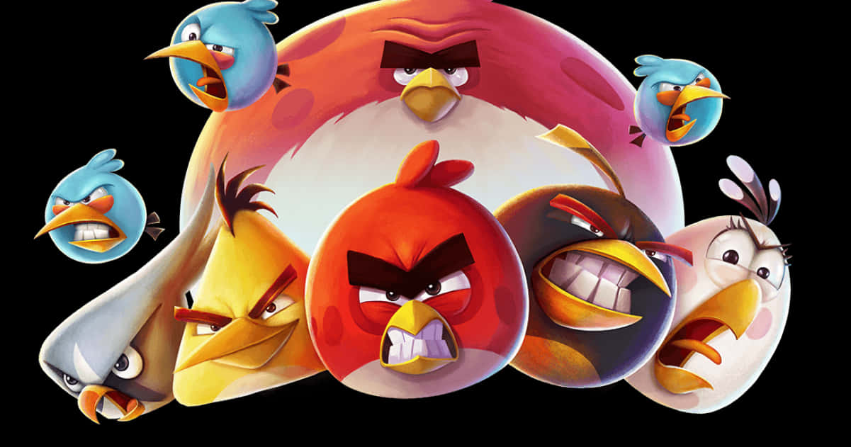 Angry Birds Character Collage PNG Image