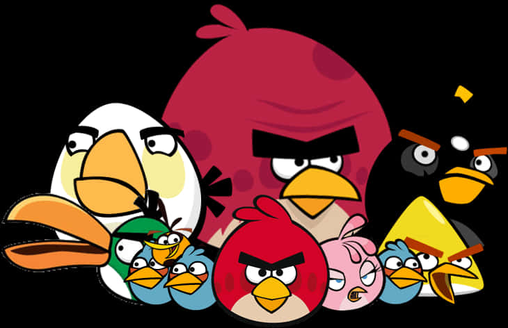 Angry Birds Characters Group PNG Image