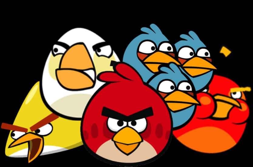 Angry Birds Characters Group PNG Image