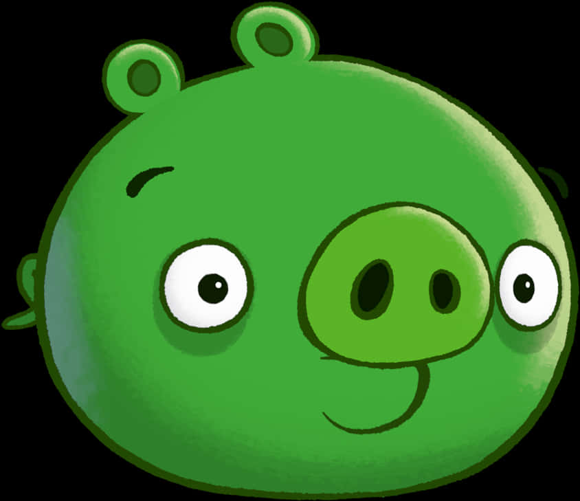 Angry Birds Green Pig Character PNG Image