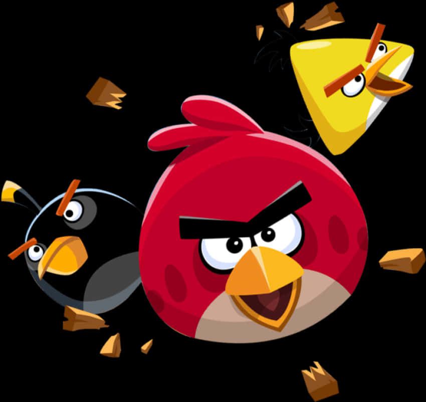 Angry Birds Trio Characters PNG Image