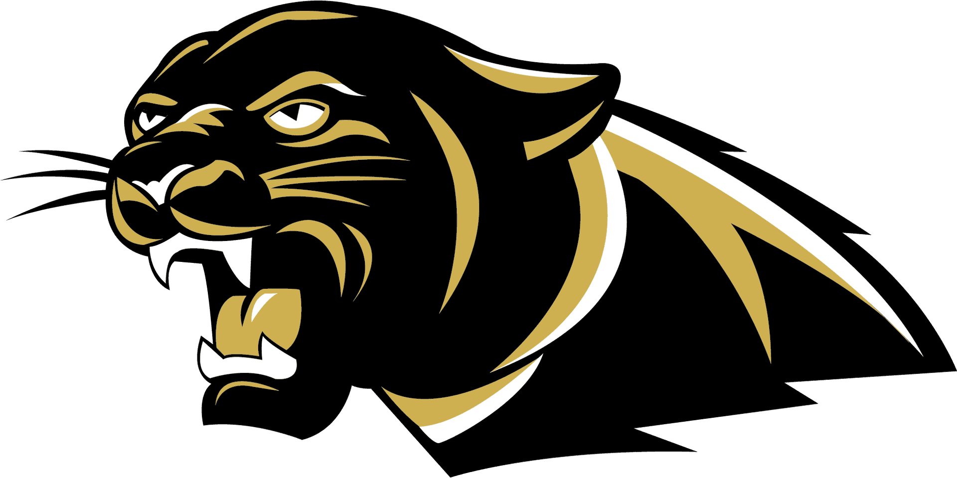 Angry Cougar Mascot Graphic PNG Image