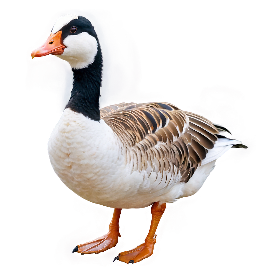 Angry Goose Expression Png Luj69 PNG Image