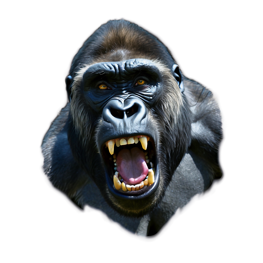 Angry Gorilla Growling Png 06252024 PNG Image