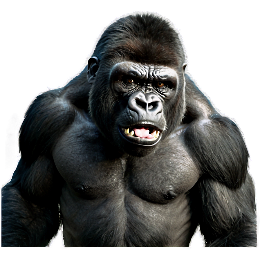 Angry Gorilla In Jungle Png Ego7 PNG Image