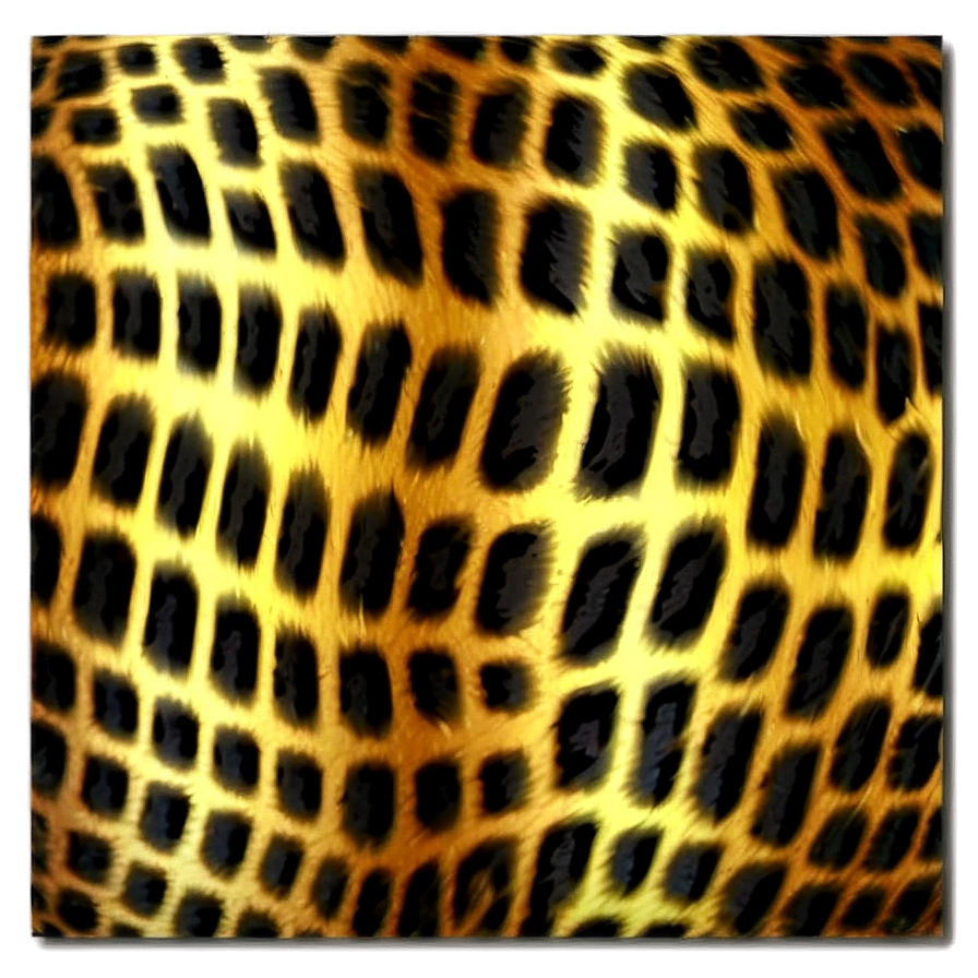 Animal Print Art Png 06252024 PNG Image