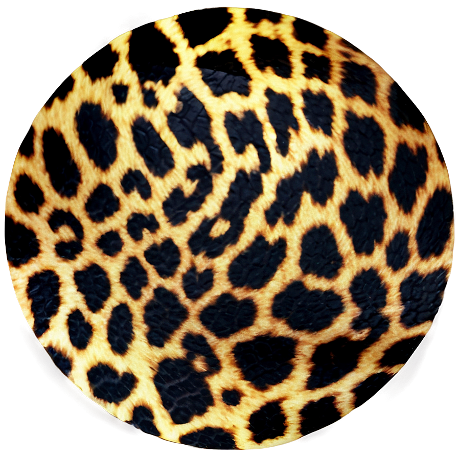 Animal Print Patterns Png 06212024 PNG Image