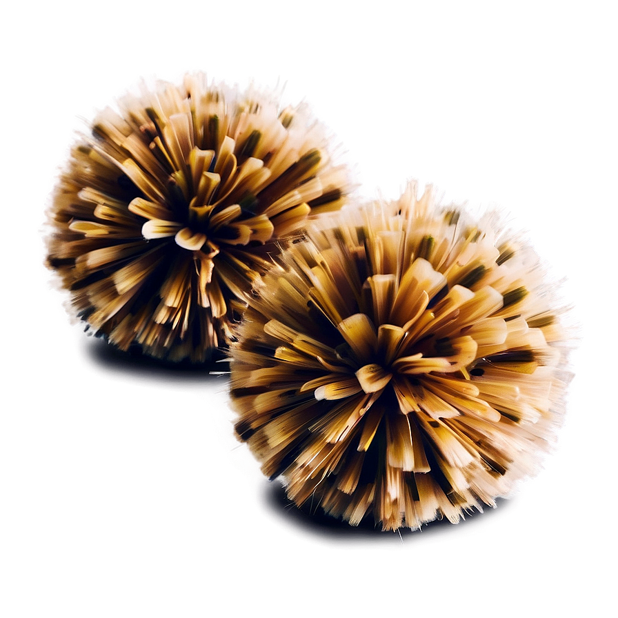 Animal Print Pom Poms Png 06132024 PNG Image