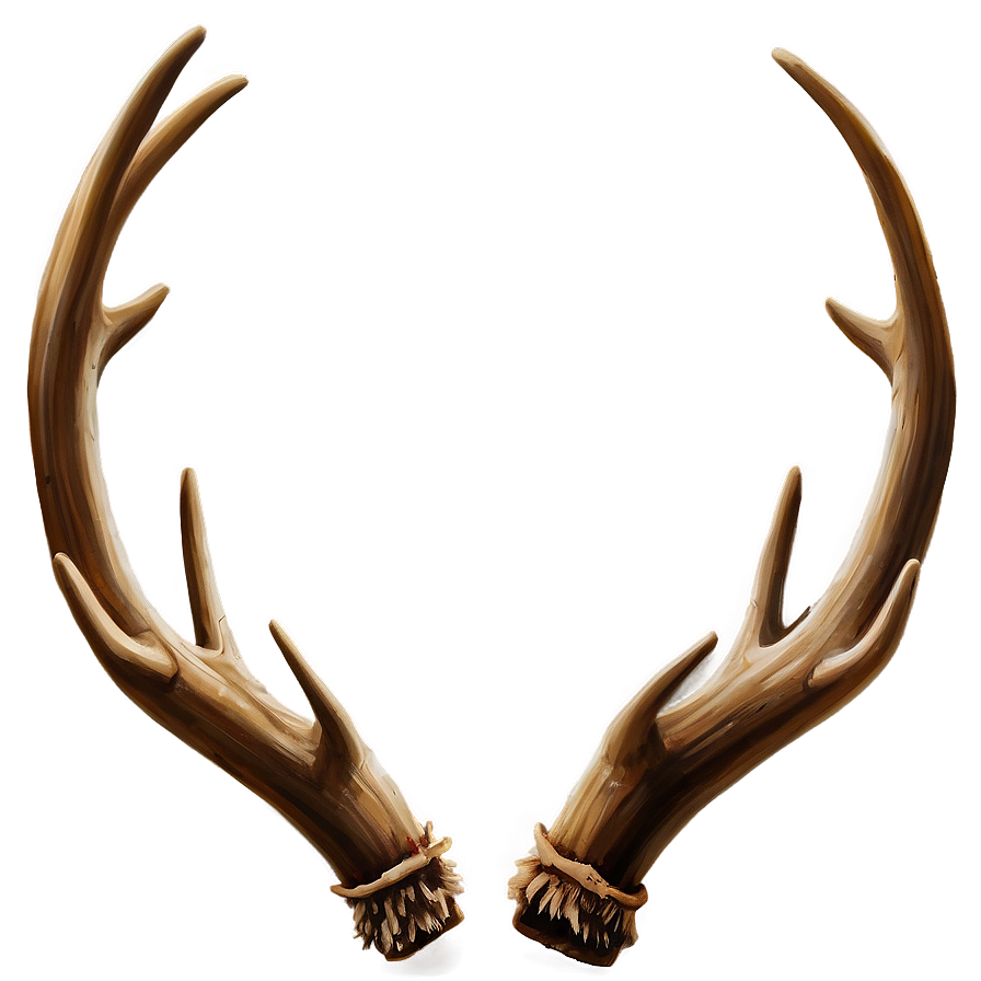 Animated Antler Picture Png Xgl PNG Image