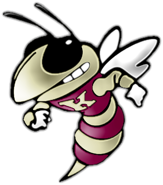 Animated Bee Character Illustration PNG Image