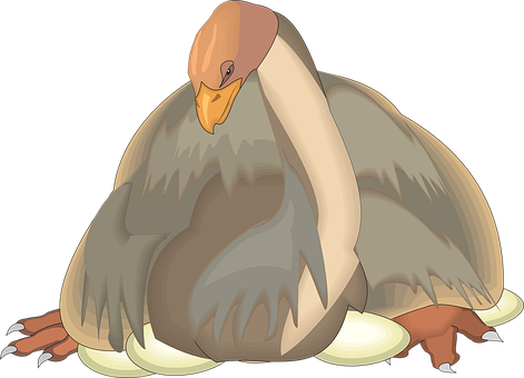 Animated Bird Incubating Eggs PNG Image