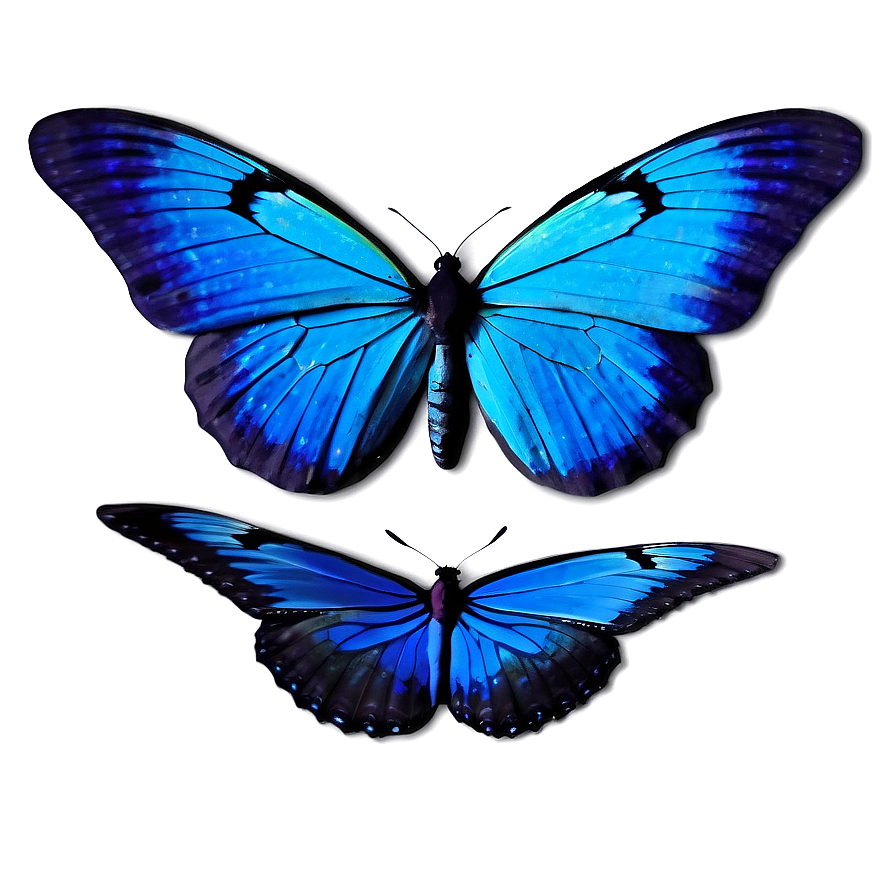 Animated Blue Butterflies Png Sem51 PNG Image