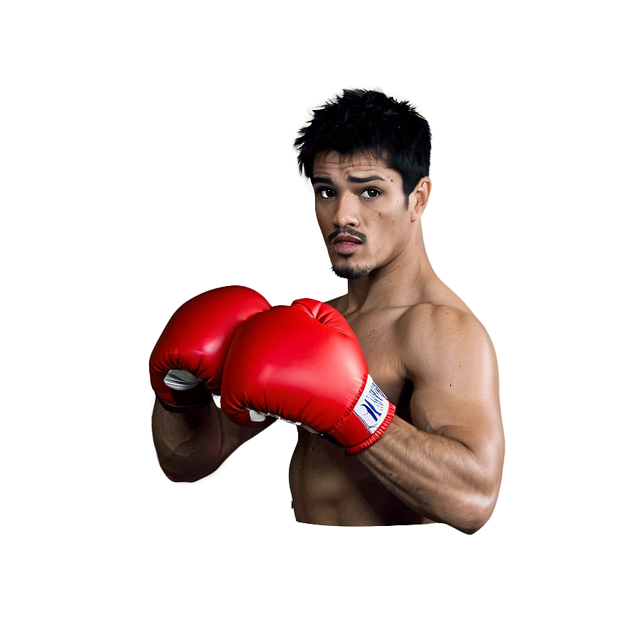 Animated Boxer Punching Png Bwf95 PNG Image