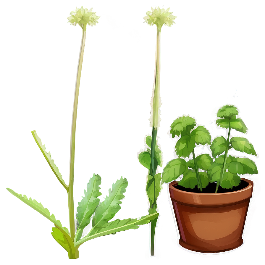 Animated Catnip Plant Png 52 PNG Image