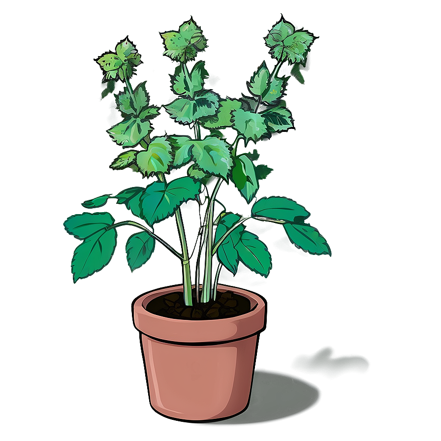 Animated Catnip Plant Png 99 PNG Image