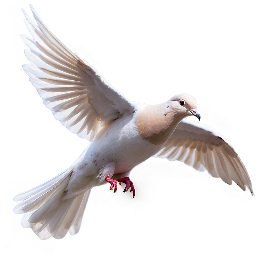 Animated Dove Png 18 PNG Image