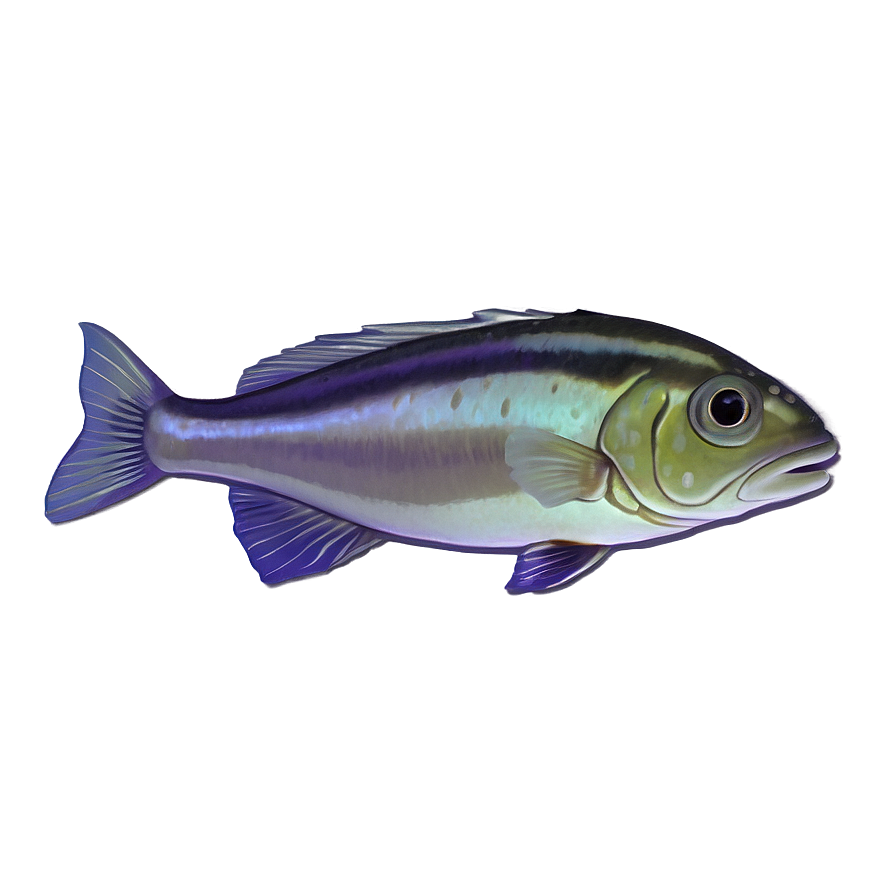 Animated Fish Png 04292024 PNG Image