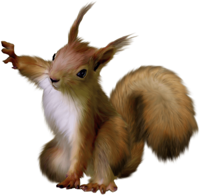 Animated Fluffy Squirrel Illustration PNG Image