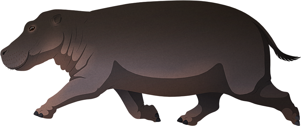 Animated Hippopotamus Walking PNG Image