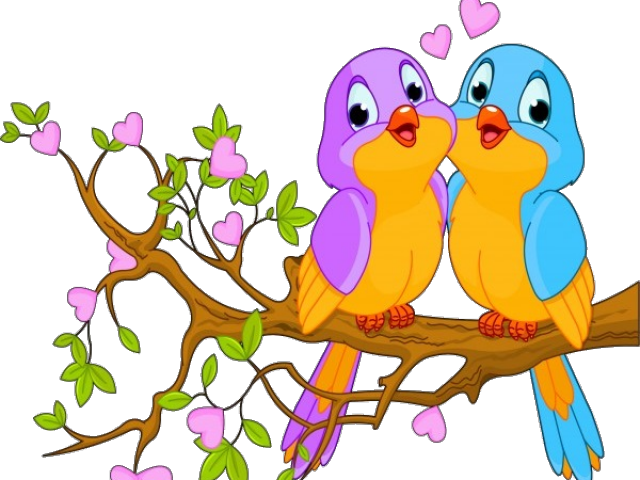 Animated Love Birdson Branch PNG Image