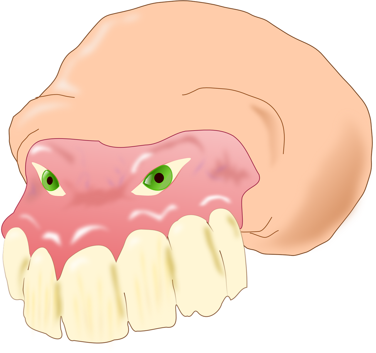 Animated Molar Toothwith Gums PNG Image