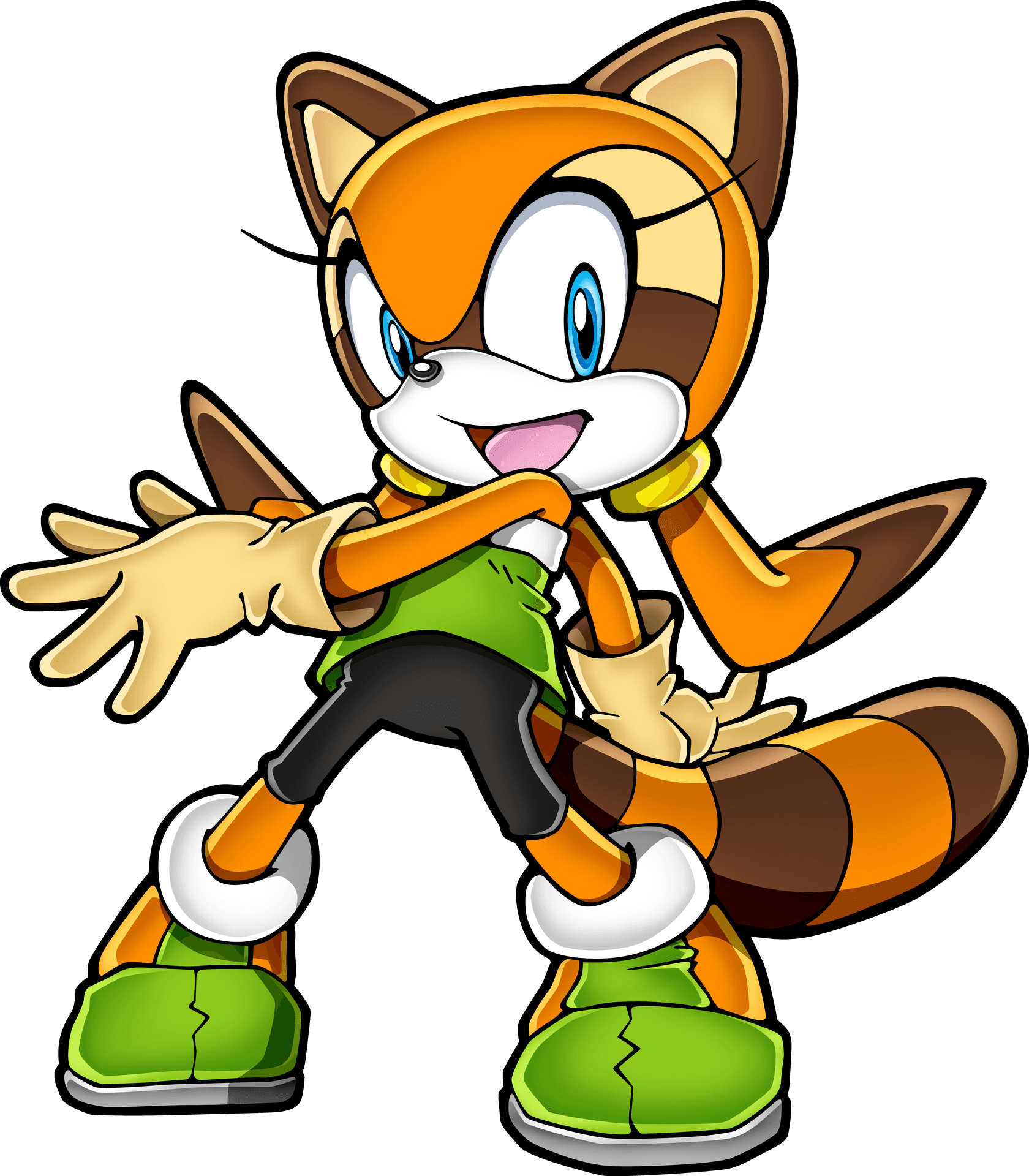 Animated Raccoon Character Pose PNG Image