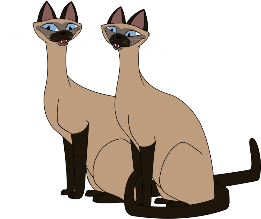 Animated Siamese Cats Illustration PNG Image