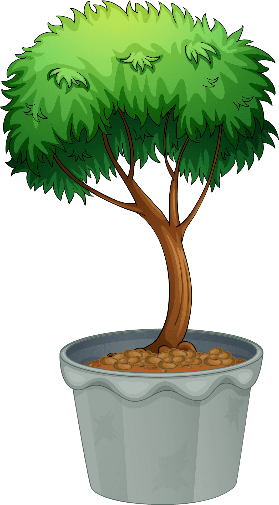 Animated Treein Plant Pot PNG Image