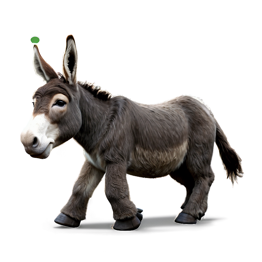 Animated Walking Donkey Png Hjp PNG Image