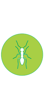 Ant Silhouette Icon PNG Image