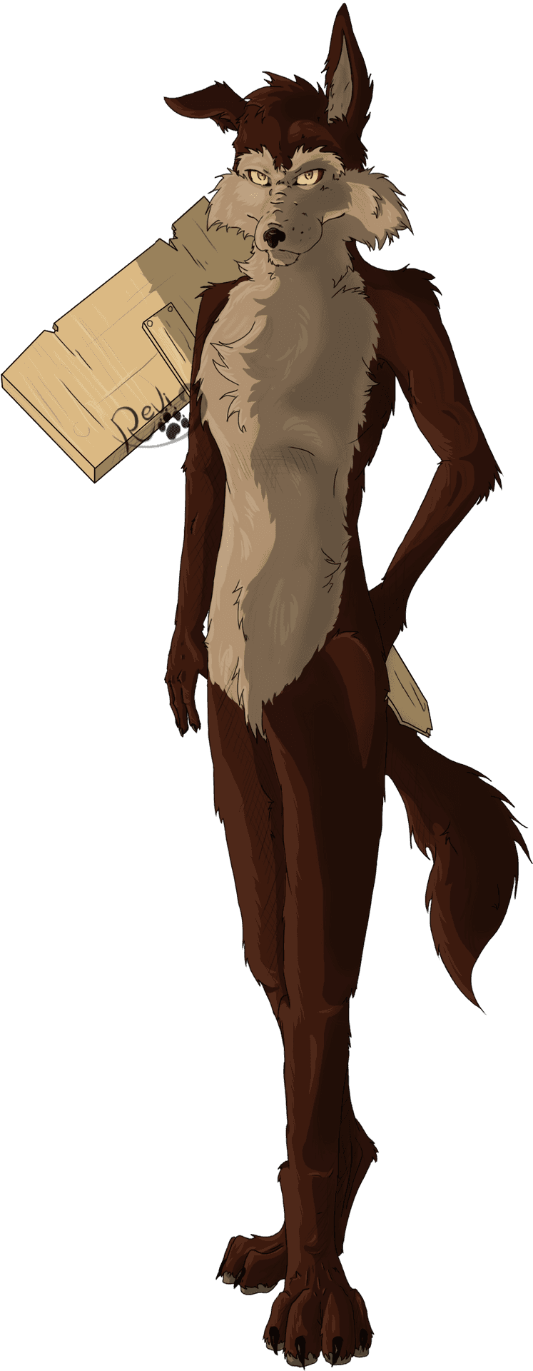 Anthropomorphic Coyote Carrying Box PNG Image