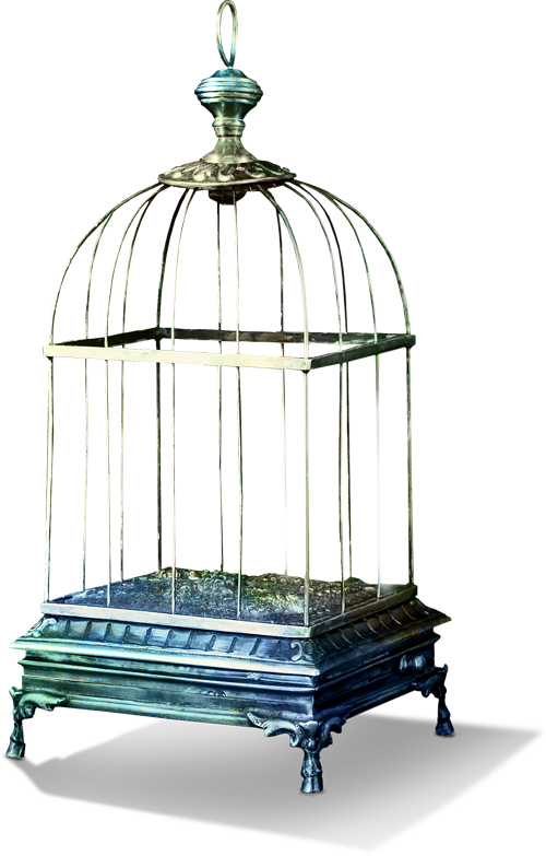 Antique Birdcage Design PNG Image