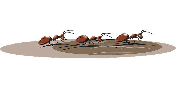 Ants On Ant Hill Illustration PNG Image