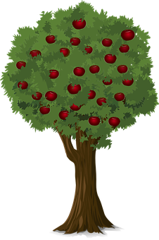 Apple Tree Illustration PNG Image