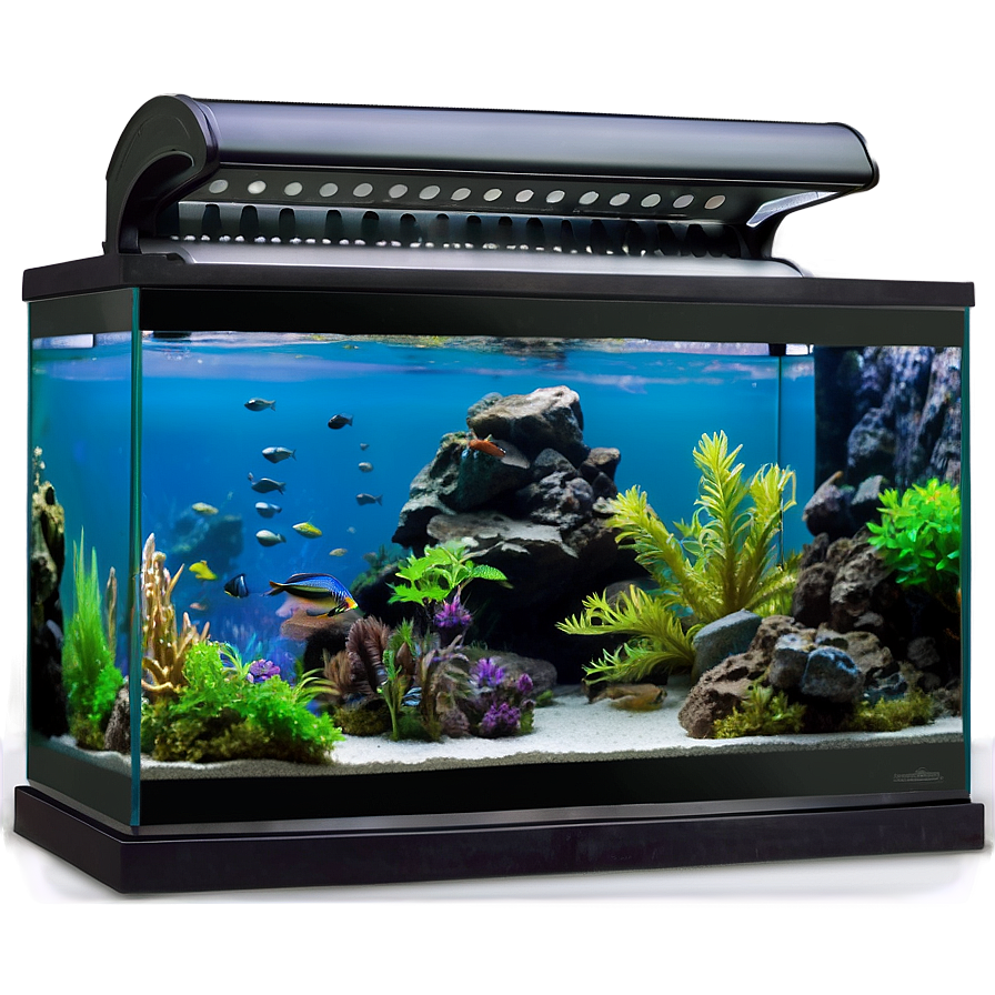 Aquarium Setup Png 61 PNG Image