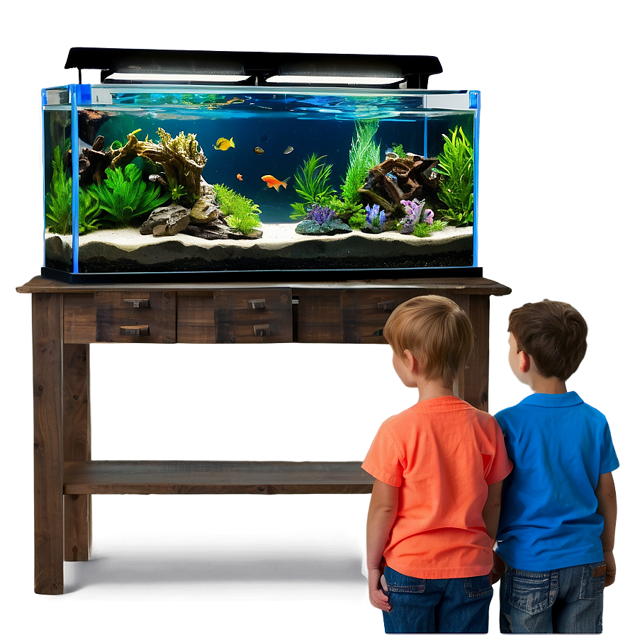 Aquarium Supplies Png Hqh88 PNG Image