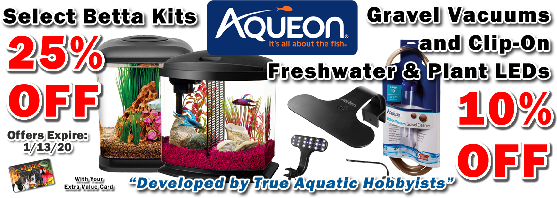 Aquatic Sale Promotion Banner PNG Image