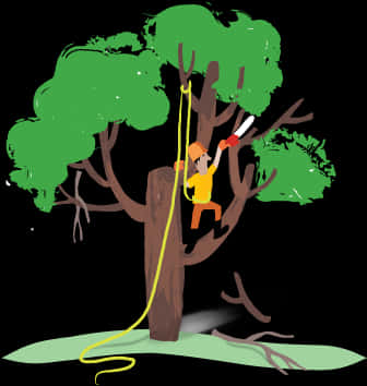 Arborist Pruning Tree PNG Image