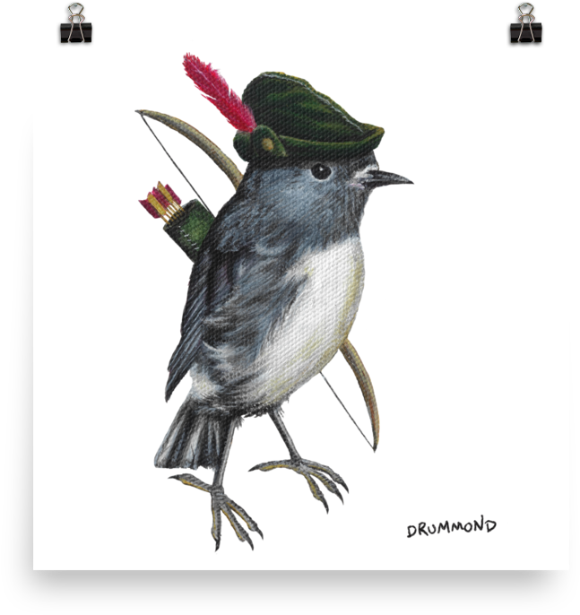 Archer Robin Bird Illustration PNG Image